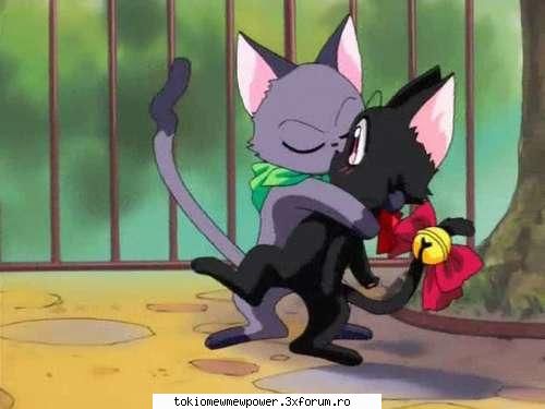Buna! - Zoey94 - Poze preferate !